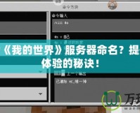 如何為《我的世界》服務器命名？提升玩家體驗的秘訣！