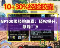 《DNF100級經驗膠囊：輕松提升，成就巔峰！》