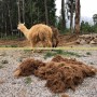 探索QQ游戲平臺官網：暢享頂級游戲娛樂體驗