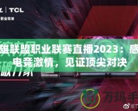 英雄聯(lián)盟職業(yè)聯(lián)賽直播2023：感受電競(jìng)激情，見(jiàn)證頂尖對(duì)決