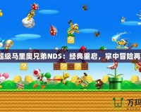 《新超級馬里奧兄弟NDS：經典重啟，掌中冒險再出發》