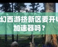 夢幻西游擠新區(qū)要開UU加速器嗎？