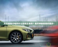 天天酷跑閃電豹什么時候出來的？揭開神秘新寵的面紗！