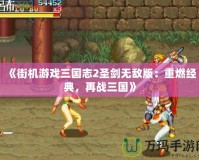 《街機游戲三國志2圣劍無敵版：重燃經典，再戰三國》