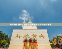 青龍幻化加什么屬性？揭秘最強戰(zhàn)力加成的秘密！