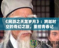 《網游之天龍歲月》：跨越時空的奇幻之旅，重拾青春記憶