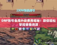 DNF賬號(hào)金庫(kù)升級(jí)費(fèi)用揭秘！助你輕松掌控裝備資源