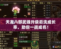 天龍八部武魂升級后洗成長率，助你一戰成名！