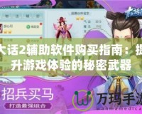 大話2輔助軟件購買指南：提升游戲體驗的秘密武器