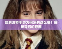 哈利波特手游為何涼的這么快？解析背后的原因
