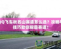 QQ飛車秋名山賽道怎么選？攻略與技巧助你稱霸賽道！