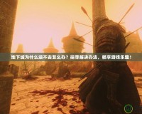 地下城為什么進不去怎么辦？探尋解決辦法，暢享游戲樂趣！
