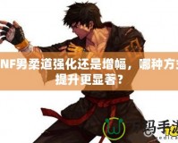 DNF男柔道強化還是增幅，哪種方式提升更顯著？