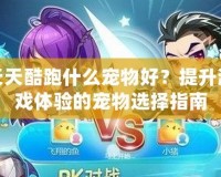 天天酷跑什么寵物好？提升游戲體驗(yàn)的寵物選擇指南