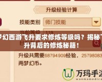 夢幻西游飛升要求修煉等級嗎？揭秘飛升背后的修煉秘籍！