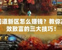 問道新區怎么賺錢？教你高效致富的三大技巧！
