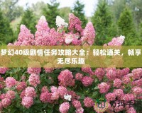 夢(mèng)幻40級(jí)劇情任務(wù)攻略大全：輕松通關(guān)，暢享無(wú)盡樂(lè)趣