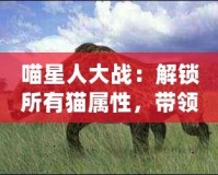 喵星人大戰(zhàn)：解鎖所有貓屬性，帶領(lǐng)貓咪軍團制霸宇宙！