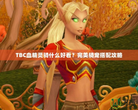 TBC血精靈騎什么好看？完美騎寵搭配攻略