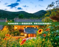 月影單機(jī)游戲——穿越虛擬世界，感受沉浸式的游戲魅力