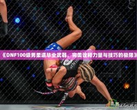 《DNF100級男柔道畢業武器，完美詮釋力量與技巧的極限》
