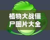 植物大戰(zhàn)僵尸圖片大全簡筆畫植物圖鑒，讓你輕松掌握所有植物與僵尸！