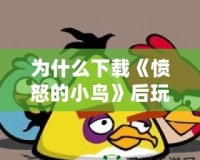 為什么下載《憤怒的小鳥》后玩不了？問題分析與解決方法