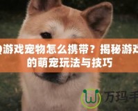 QQ游戲寵物怎么攜帶？揭秘游戲中的萌寵玩法與技巧