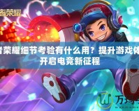 王者榮耀細(xì)節(jié)考驗(yàn)有什么用？提升游戲體驗(yàn)，開啟電競(jìng)新征程