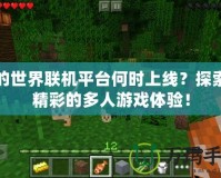 我的世界聯機平臺何時上線？探索最精彩的多人游戲體驗！