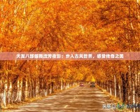 天龍八部蝶舞流芳夜影：步入古風(fēng)世界，感受傳奇之美