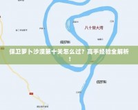 保衛蘿卜沙漠第十關怎么過？高手經驗全解析！