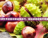 暖暖環(huán)游世界德國(guó)攻略省錢技巧，輕松暢游德國(guó)不花冤枉錢！