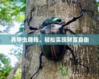 養(yǎng)甲蟲賺錢，輕松實現(xiàn)財富自由