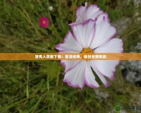 洛克人改版下載：重溫經典，體驗全新挑戰