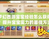 夢幻西游寶寶經(jīng)驗怎么獲得？提升寶寶實力的最佳方法解析！
