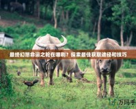 最終幻想命運(yùn)之輪在哪刷？探索最佳獲取途徑和技巧