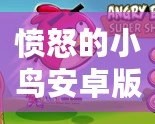 憤怒的小鳥安卓版在哪下載？暢享經(jīng)典游戲，隨時(shí)隨地釋放壓力！
