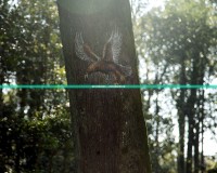 免費3D網(wǎng)絡(luò)游戲軟件——開啟無限冒險的奇妙之旅