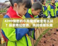4399憤怒的小鳥魔法城堡怎么玩？探索奇幻世界，挑戰極限樂趣！