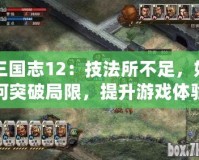 三國志12：技法所不足，如何突破局限，提升游戲體驗？