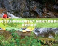 QQ飛車(chē)王者峽谷是哪個(gè)區(qū)？探索這個(gè)神秘賽道背后的秘密