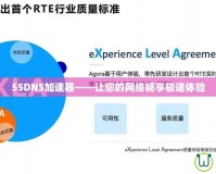 55DNS加速器——讓您的網絡暢享極速體驗