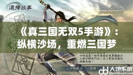 《真三國(guó)無雙5手游》：縱橫沙場(chǎng)，重燃三國(guó)夢(mèng)