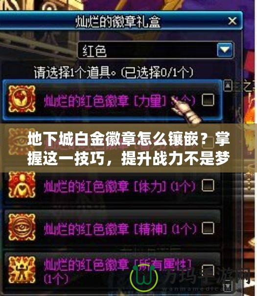 地下城白金徽章怎么鑲嵌？掌握這一技巧，提升戰(zhàn)力不是夢(mèng)！