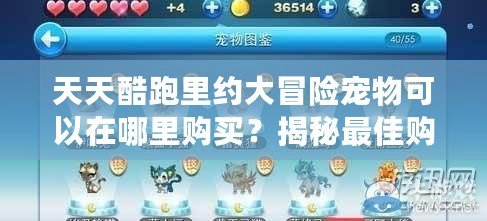 天天酷跑里約大冒險寵物可以在哪里購買？揭秘最佳購買途徑與技巧！