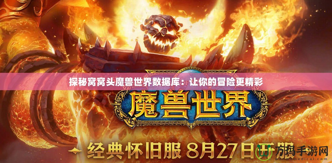 探秘窩窩頭魔獸世界數據庫：讓你的冒險更精彩