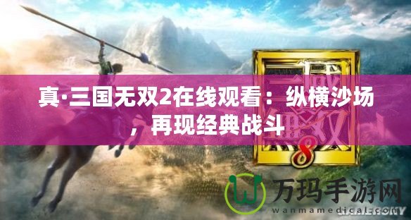 真·三國無雙2在線觀看：縱橫沙場，再現(xiàn)經(jīng)典戰(zhàn)斗