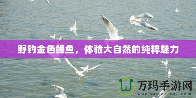 野釣金色鯉魚，體驗大自然的純粹魅力