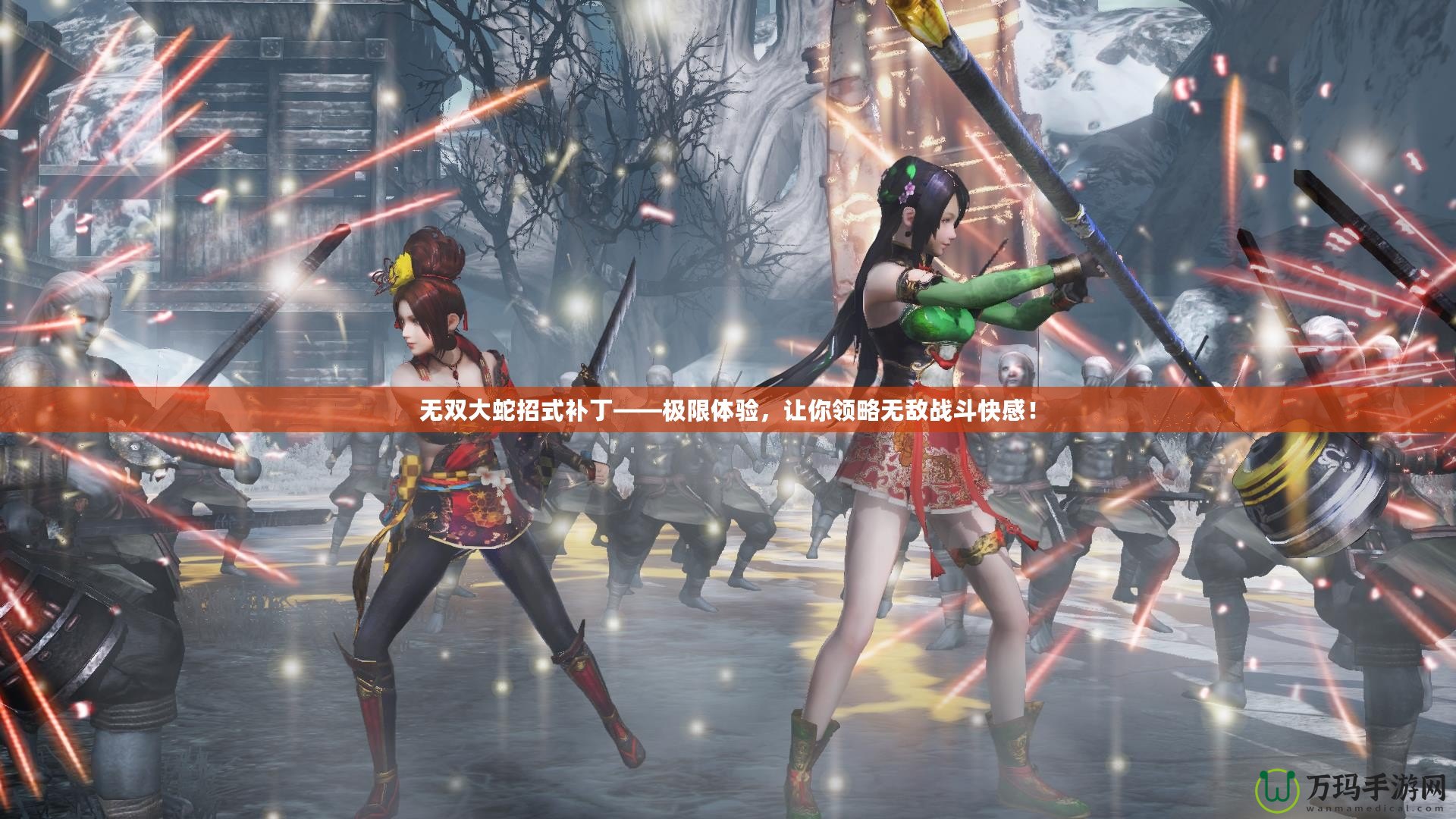無雙大蛇招式補丁——極限體驗，讓你領略無敵戰(zhàn)斗快感！